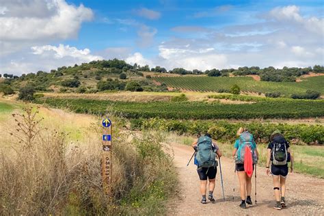 Caminho de Santiago: O melhor guia para a peregrinação a。